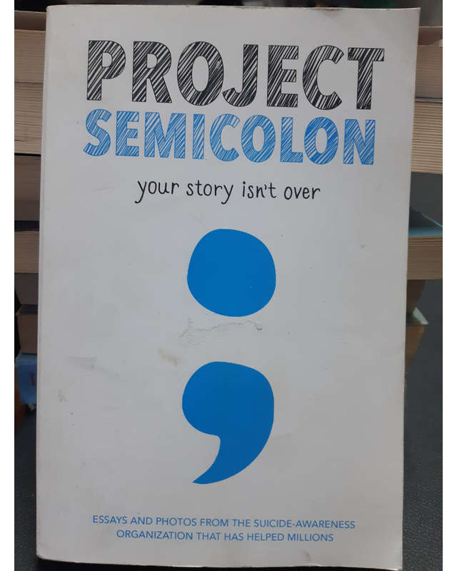Project Semicolon Amy Bleuel