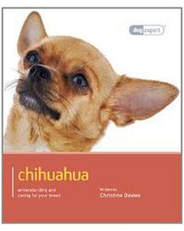 Chihuahua: Chihuahua - Dog Expert Christine Davies