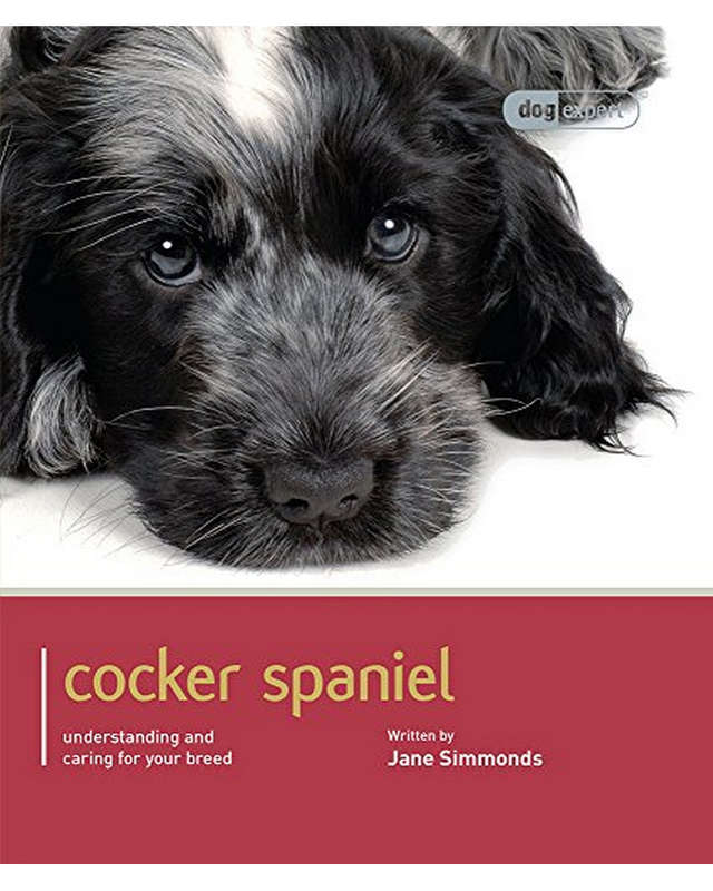 Cocker Spaniel Dog Expert Jane Simmonds