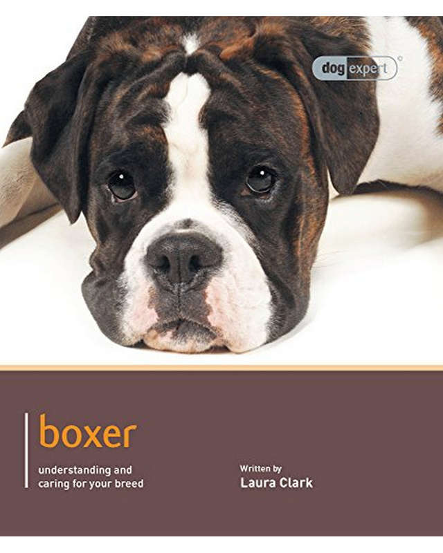 Boxer Dog Expert Laura Clark