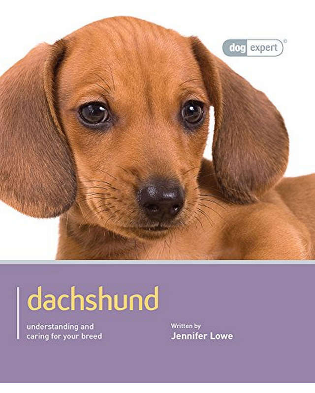 Dachshund Dog Expert Jennifer Lowe