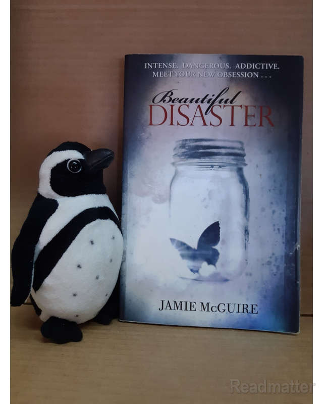Beautiful Disaster Mcguire, Jamie
