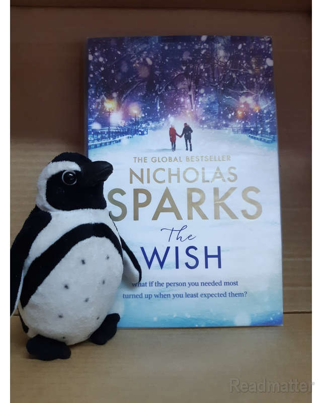 The Wish Sparks, Nicholas