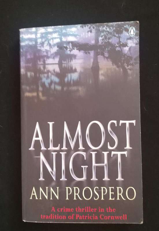 Almost Night (Ann Prospero)