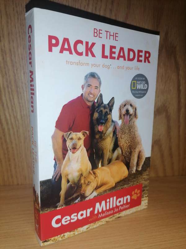 Be the Pack Leader Melissa Jo Millan