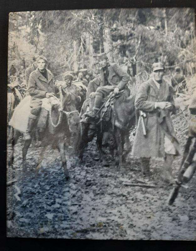 Partisans And Guerrillas (Time Life)