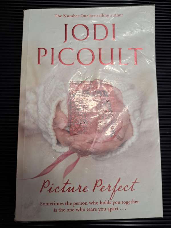 Picture Perfect (Jodi Picoult)