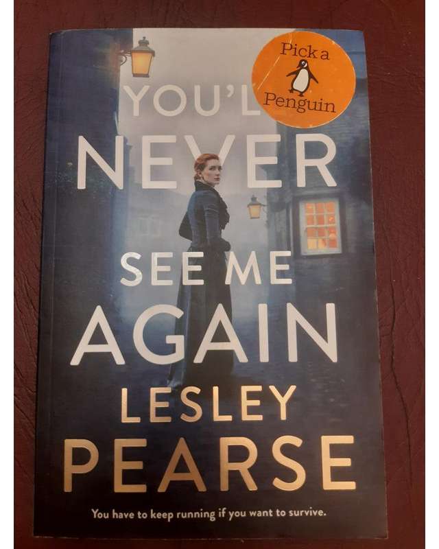 You'Ll Never See Me Again Lesley Pearse