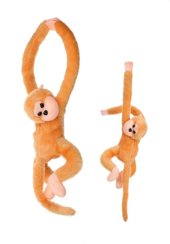 Mommy and Baby Long Arm Caramello Howler Monkeys