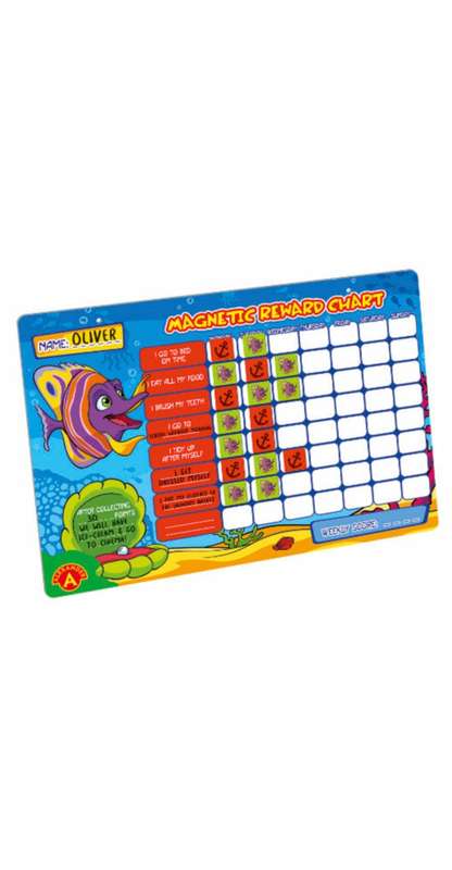 Magnetic Reward Chart