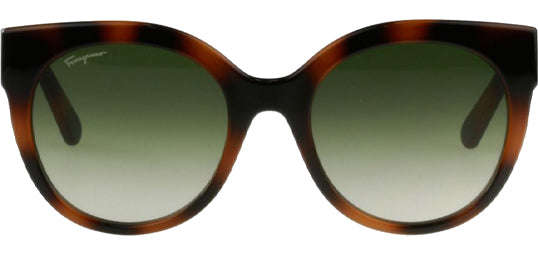 Salvatore Ferragamo Women's Rounded Cat Eye Sunglasses - SF1031S-214