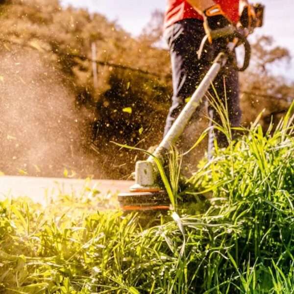 Worx Nitro 40V Cordless Grass Trimmer Kit - WG186E.1