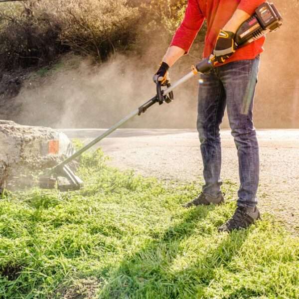 Worx Nitro 40V Cordless Grass Trimmer Kit - WG186E.1