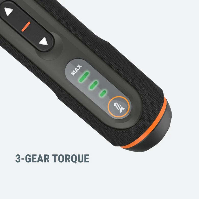 Worx 4V Electronic Screwdriver Set - WX240