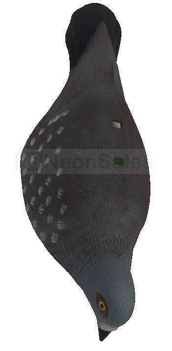 PIGEON DECOY