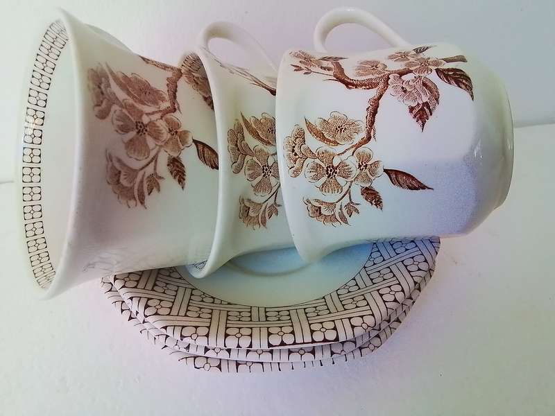 Set of 3 Royal Staffordshire Cups and Saucers