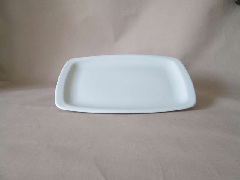 Continental SupraDura  Serving Plate