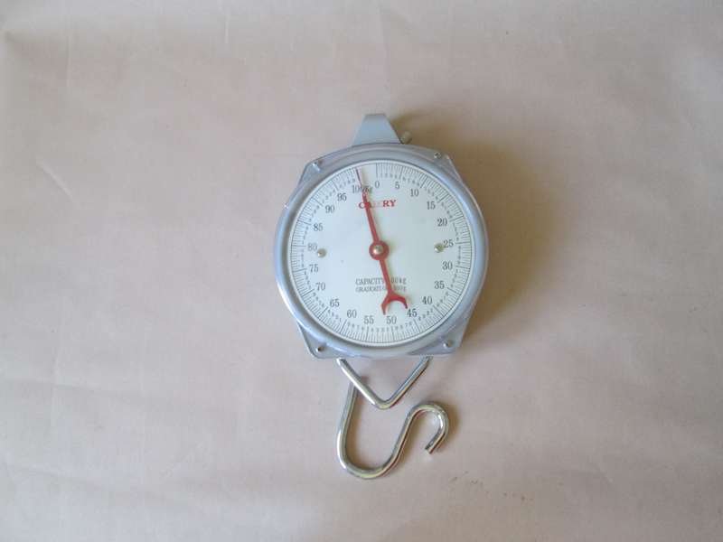 Camry Hanging Scale Capacity 100kg