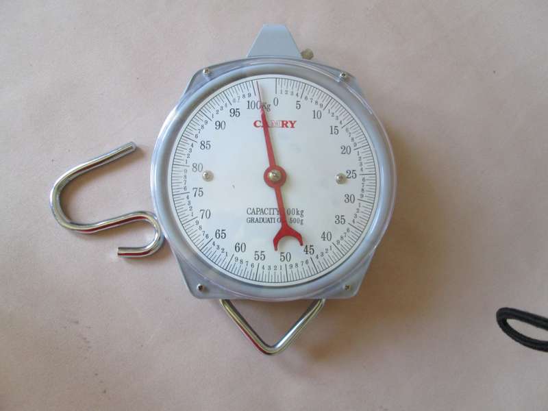 Camry Hanging Scale Capacity 100kg