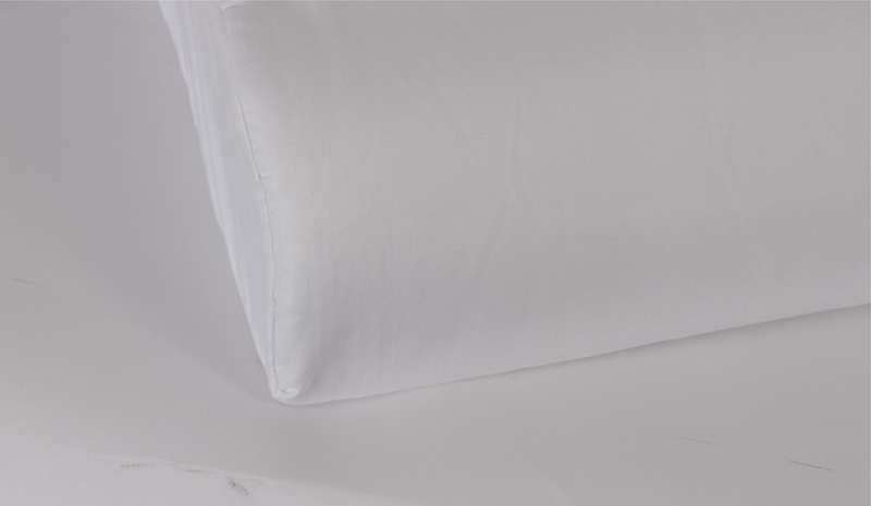 Premier Poly Latex Contour Pillow - Twinpack