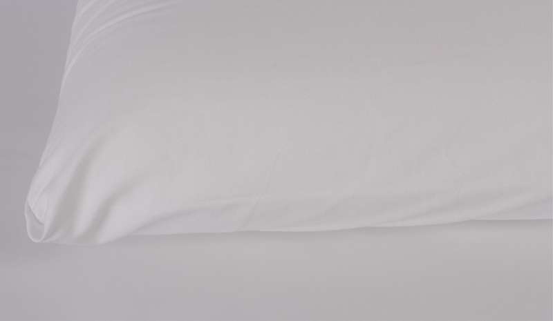 Premier Poly Latex Pillows - Classic