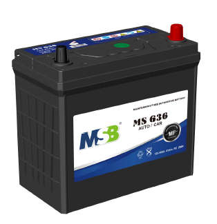 Car 12V MS 636 (12V45Ah) - MSB