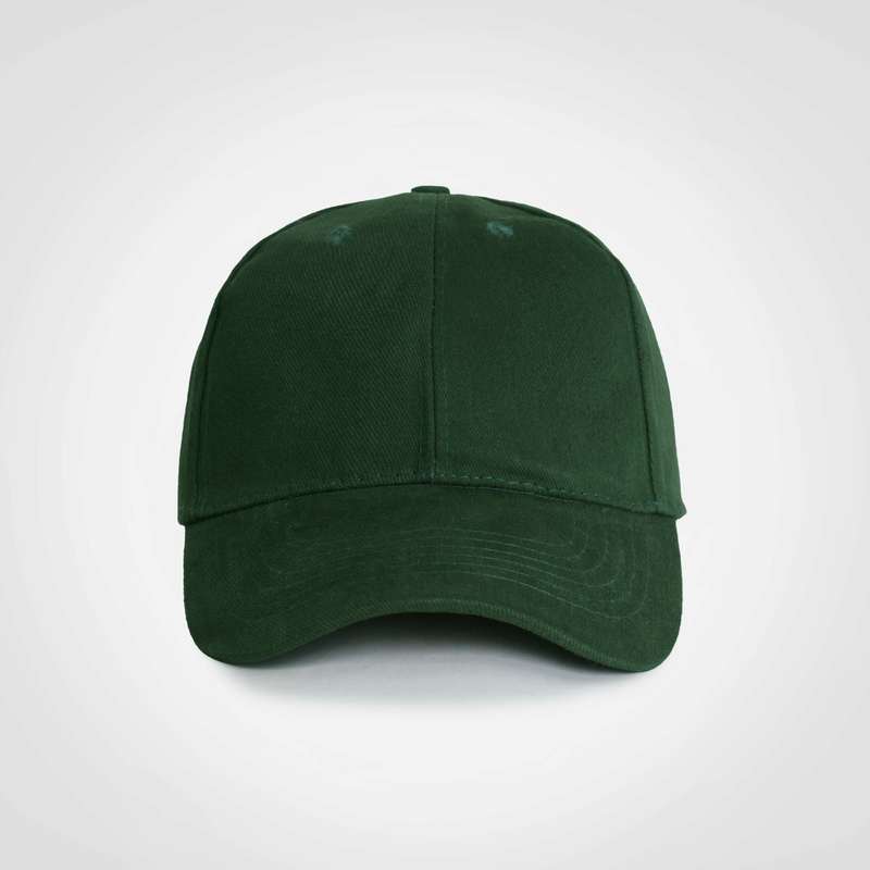 Promo 6 Panel Cap
