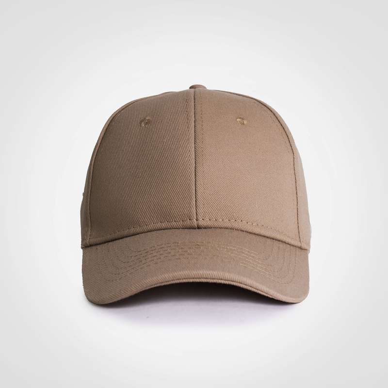 Promo 6 Panel Cap