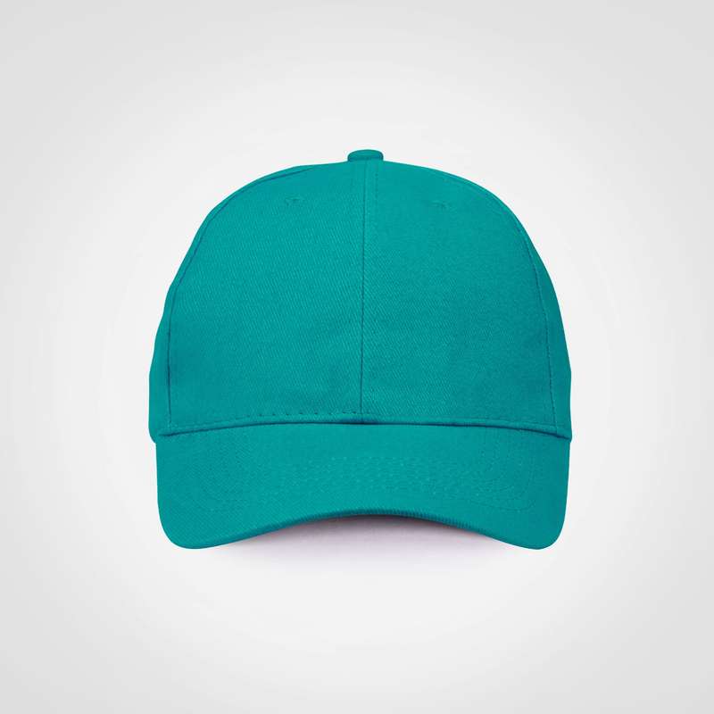 Promo 6 Panel Cap