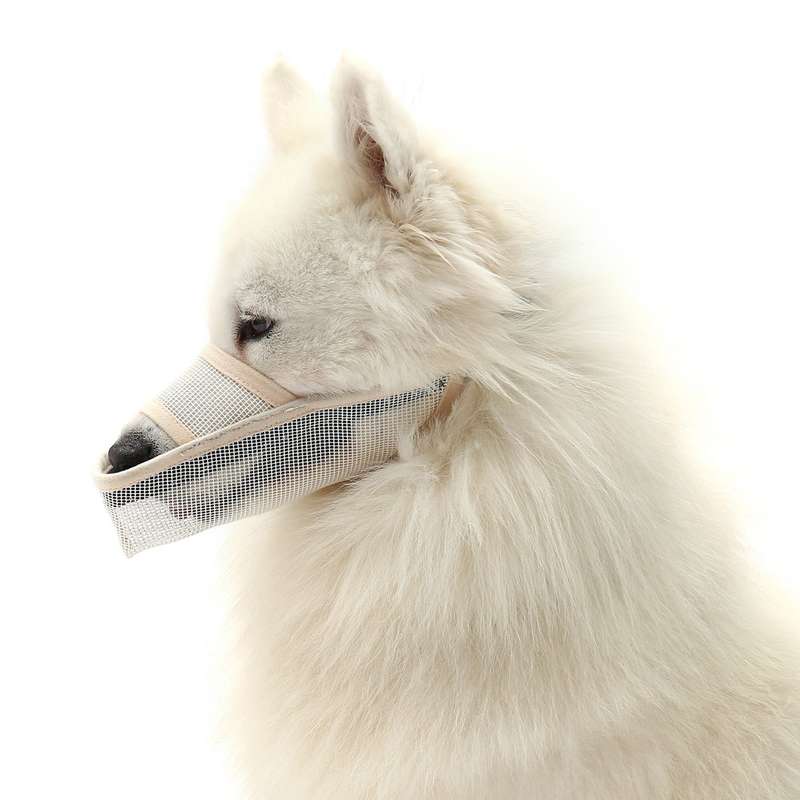 Dog Muzzle Breathable Mesh for Small Medium Large Dogs Prevent Biting Barking