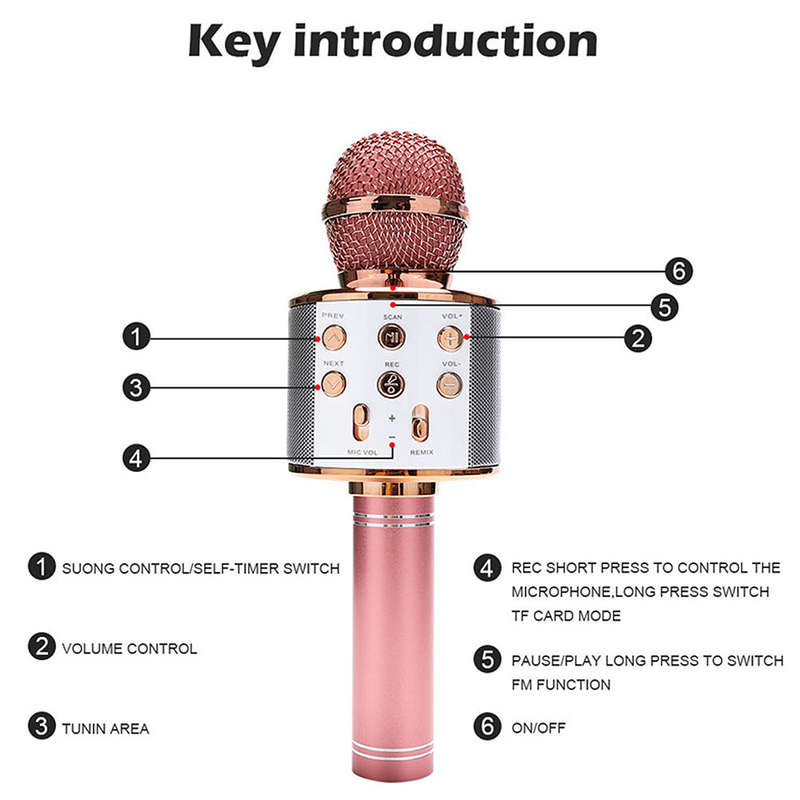 Professional BT Wireless Microphone Karaoke Speaker KTV Music Player Singing Recorder Handheld Micro