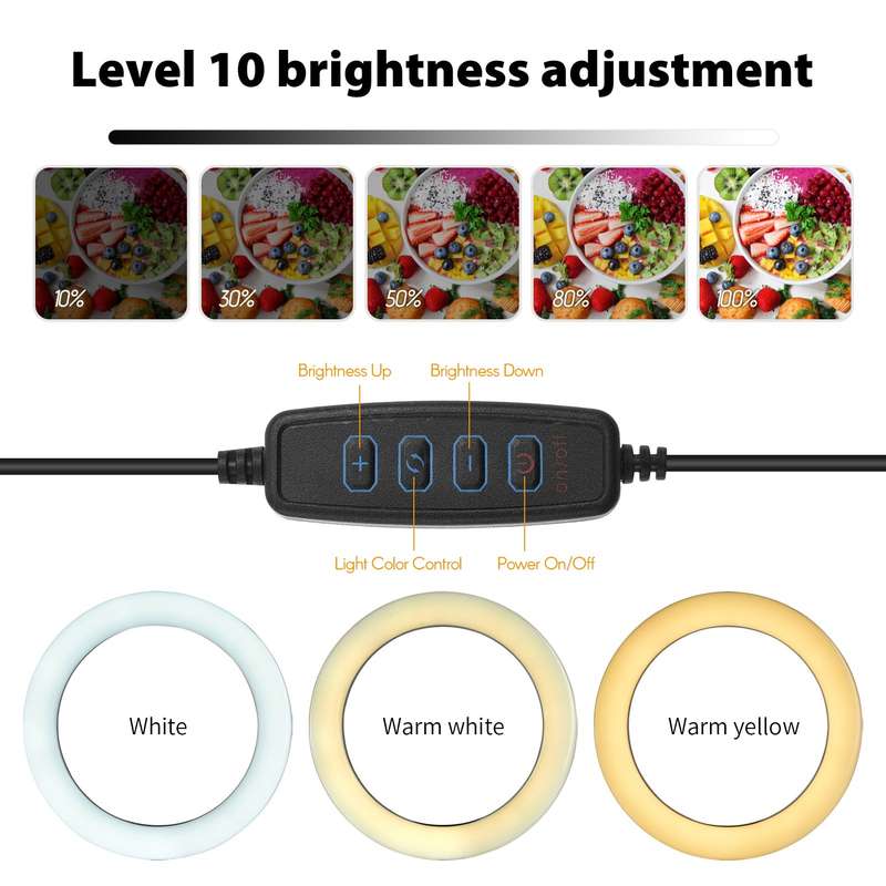 6'' Ring Light for Laptop, Computer Clip Video Fill Light Conference Ring Beauty Live Light  for Zoo