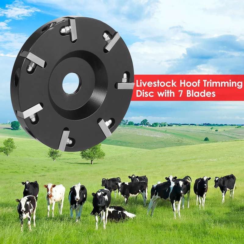 Livestock Hoof Trimming Disc Plate Hoof Trimming Discs Hoof Grinding Discs Claws Hoof Care Tool with