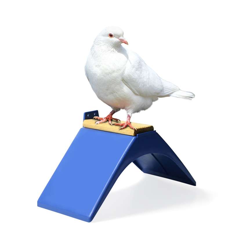 Pigeon Rest Stand Pigeon Perches Frame Grill Dwelling Roost Durable Plastic Birds Supplies