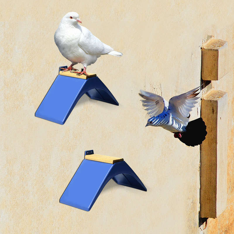 Pigeon Rest Stand Pigeon Perches Frame Grill Dwelling Roost Durable Plastic Birds Supplies
