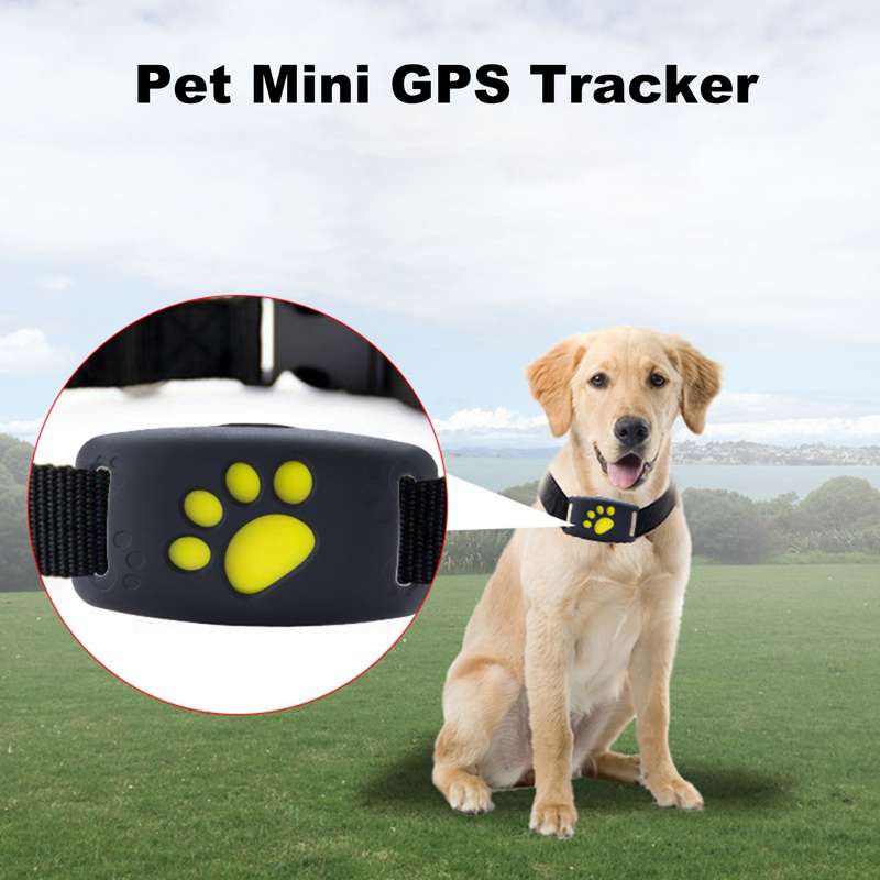 GPS Pet Locator Tracker, Pet Anti-Lost Device, Waterproof Dog Tracker Collar with GPS, Wirele