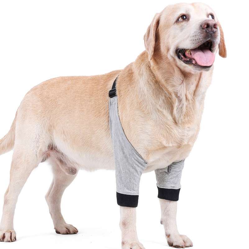Dog Elbow Protector Front Leg Sleeve Adjustable Pet Operation Injury Recovery Protective Brac
