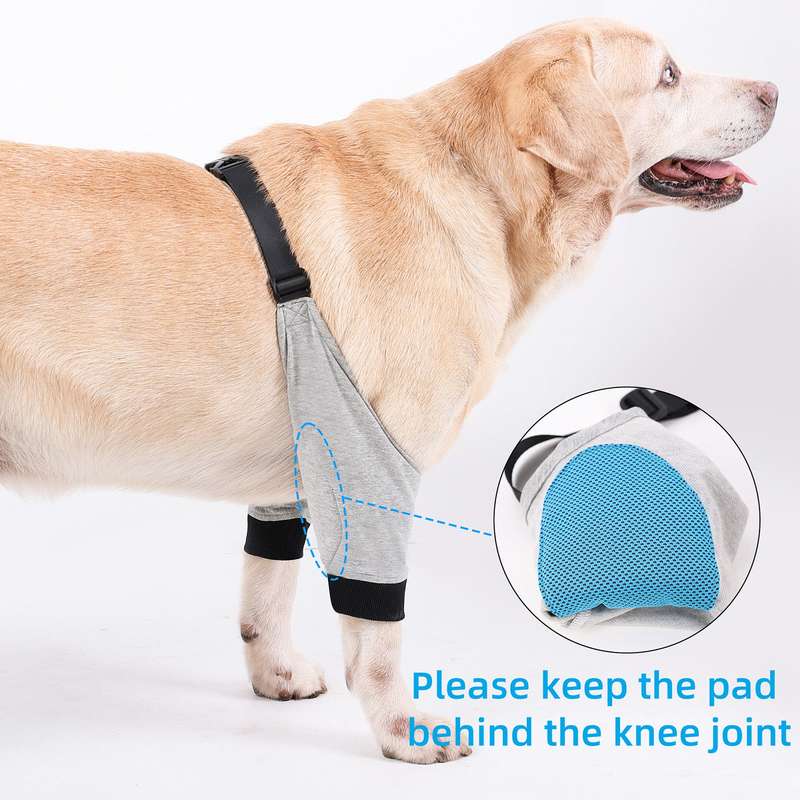Dog Elbow Protector Front Leg Sleeve Adjustable Pet Operation Injury Recovery Protective Brac