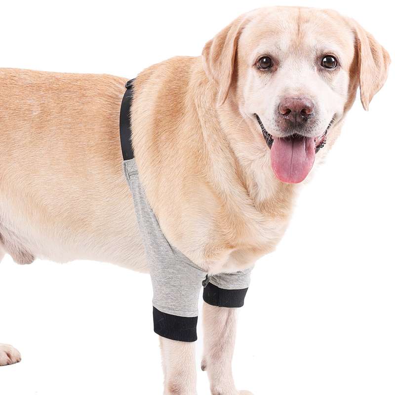 Dog Elbow Protector Front Leg Sleeve Adjustable Pet Operation Injury Recovery Protective Brac