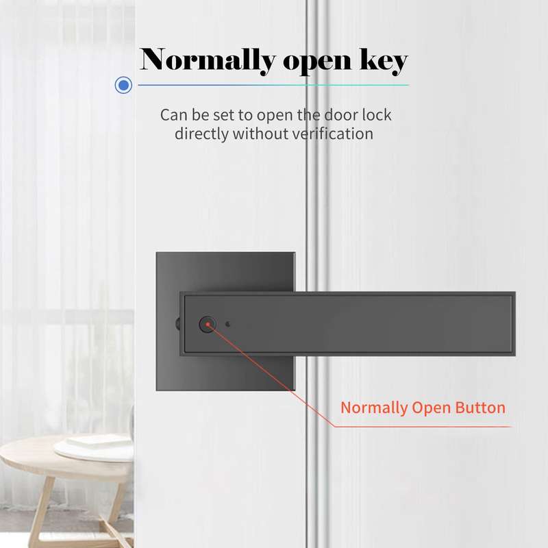 30 Groups Fingerprint Door Lock Smart Door Knob Gate Locks Left-Right Open Door Lever Lock Set Entry