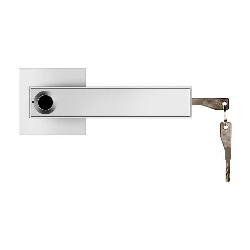 30 Groups Fingerprint Door Lock Smart Door Knob Gate Locks Left-Right Open Door Lever Lock Set Entry