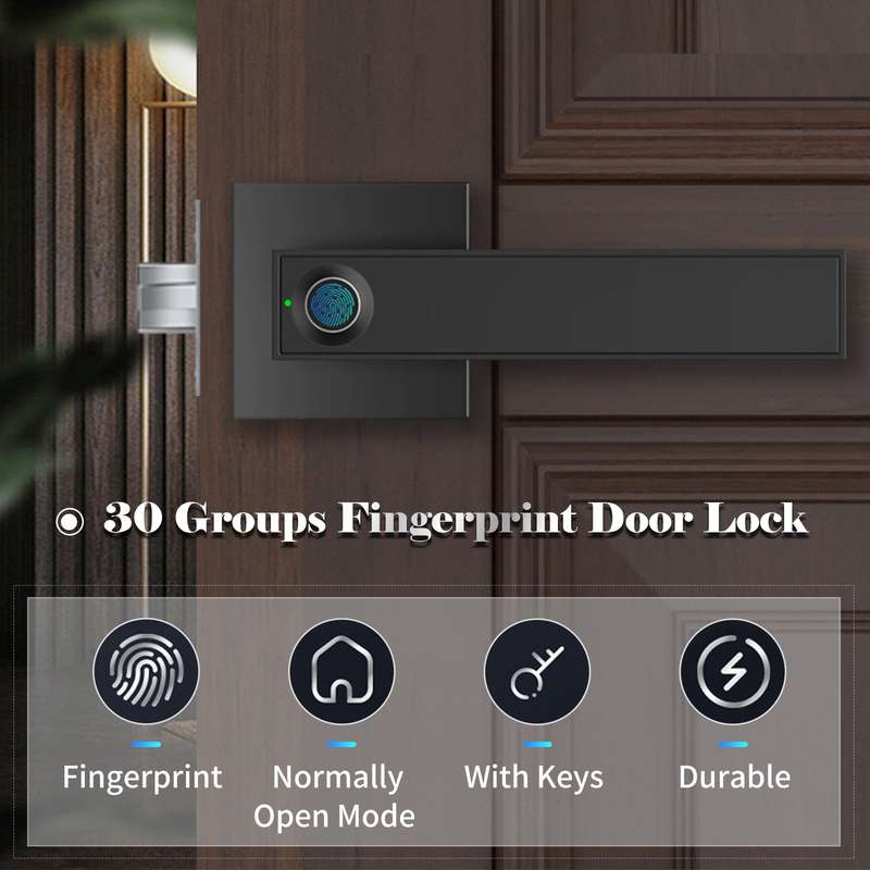 30 Groups Fingerprint Door Lock Smart Door Knob Gate Locks Left-Right Open Door Lever Lock Set Entry