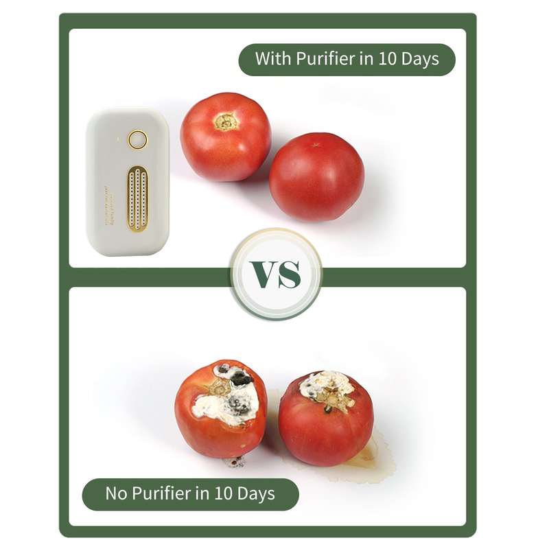 Ozone Air Purifier Rechargeable Ozone Machine Mini Odor Eliminator USB Rechargeable Bedroom Air Clea