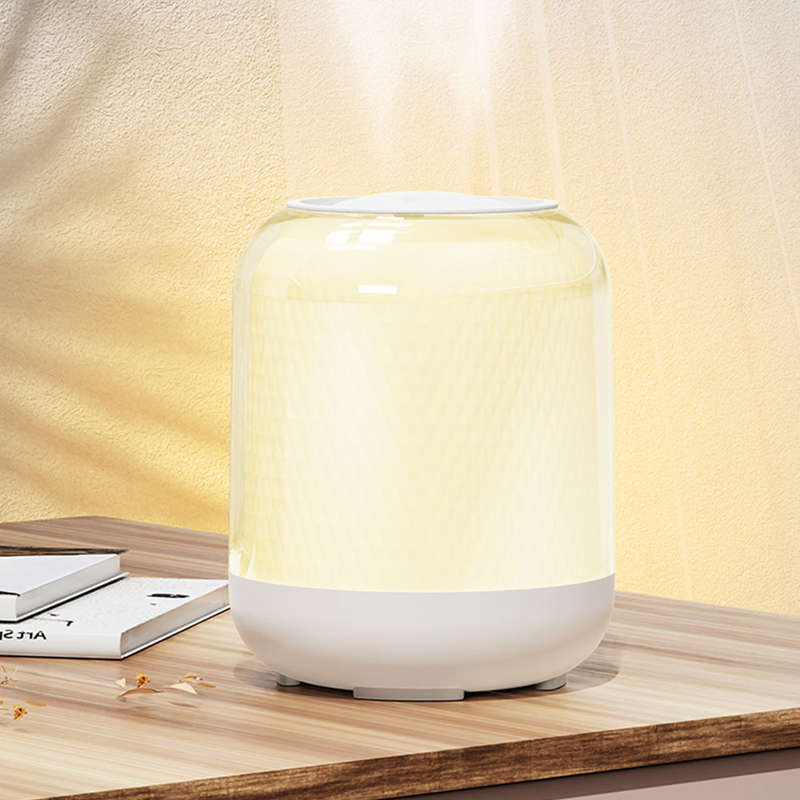 3L Cool Mist Humidifier with Two Nozzles Four Mist Levels Desktop Plant Humidifier Power Display Qui