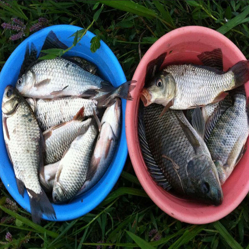 Night Fishing Luminous Popper Floating Lure Catfish Snakehead Bass Bait Hard Artificial Bait