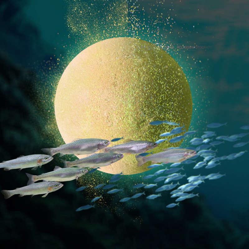 Fish Lure Bubble Nest Ball Bait Fishing Material Bait Bubble Bomb (Strawberry)