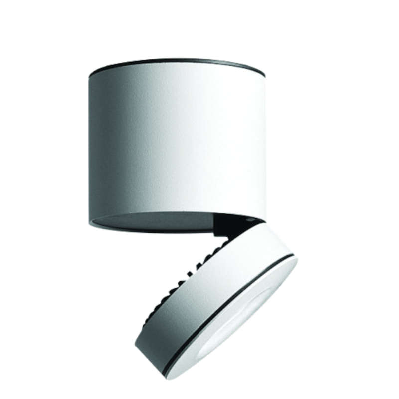 Modern Ceiling Spotlight 10W White CW