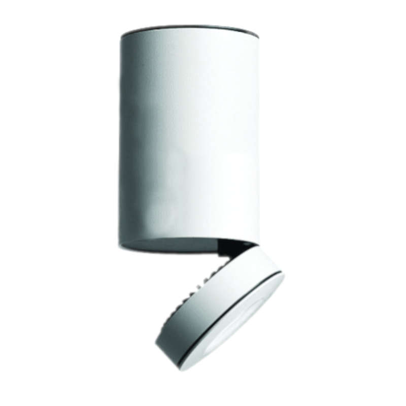 Modern Ceiling Spotlight 12W White WW
