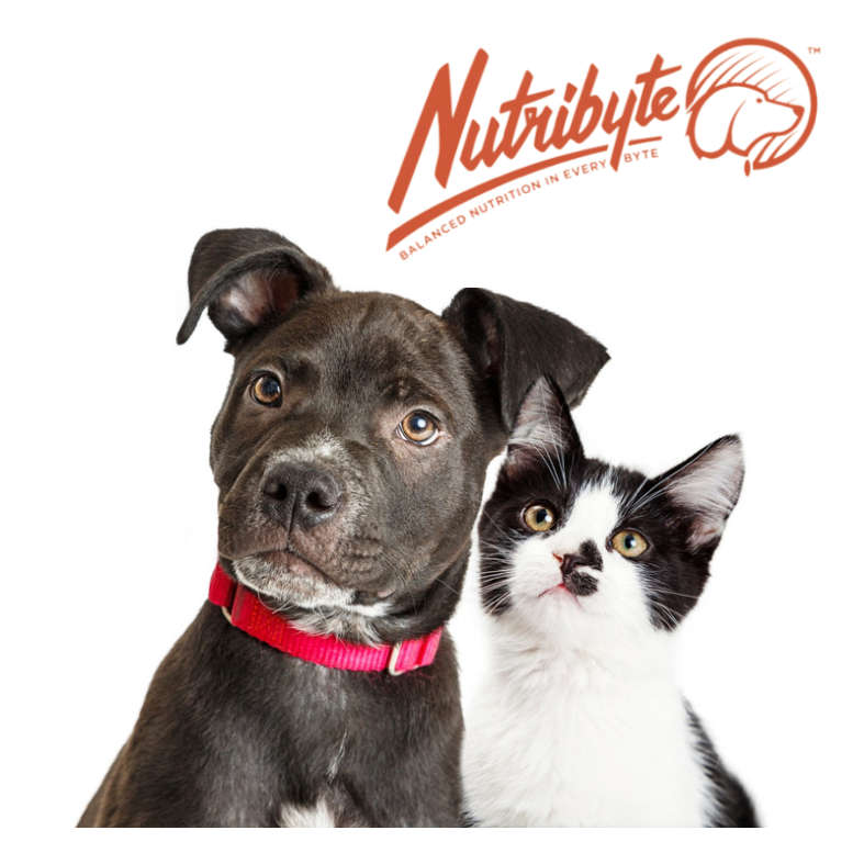 Nutribyte Endurance Dog Food 20KG
