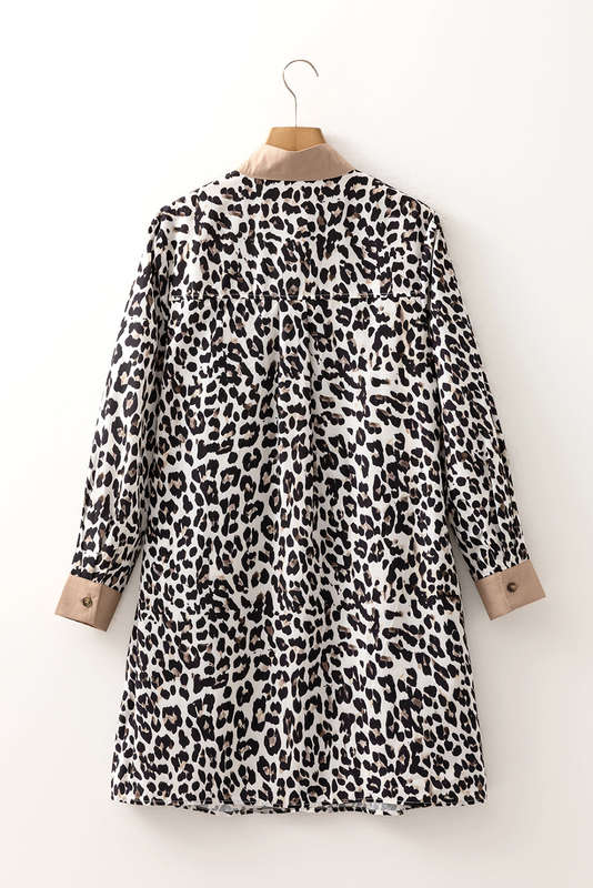 Multicolour Button Striped Collar Leopard Print Long Sleeve Flared Dress